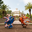 We are Open in México! We are Open in México!