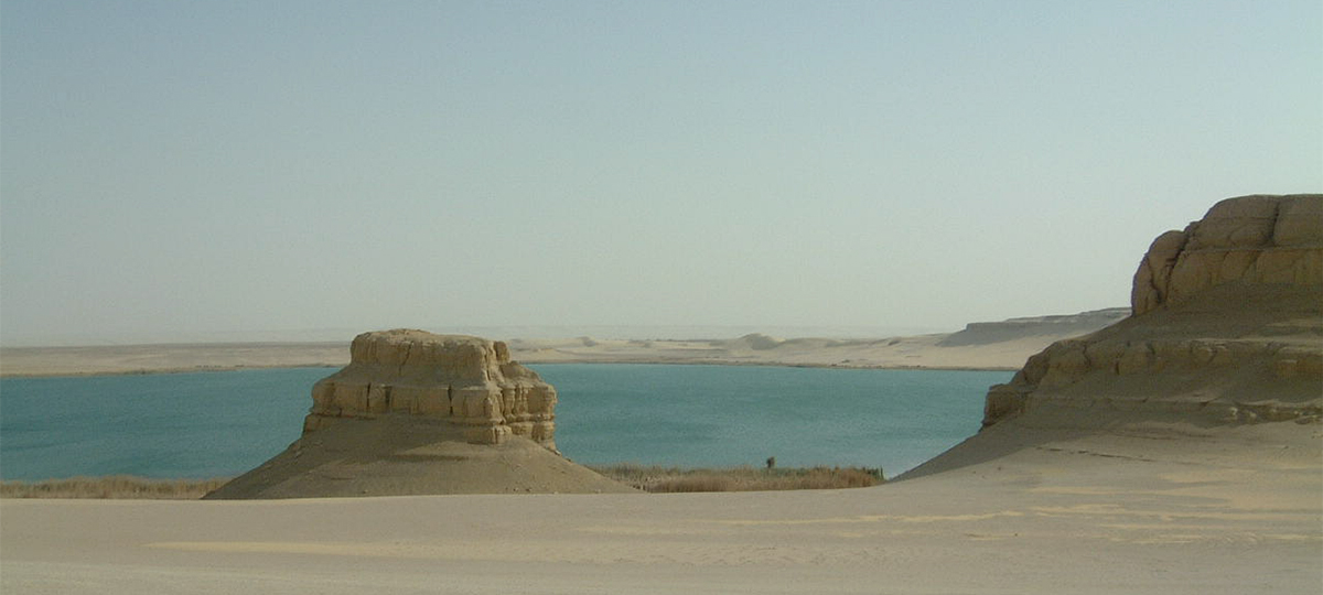 Fayoum extension 