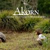 Ecuador for Families - Akorn