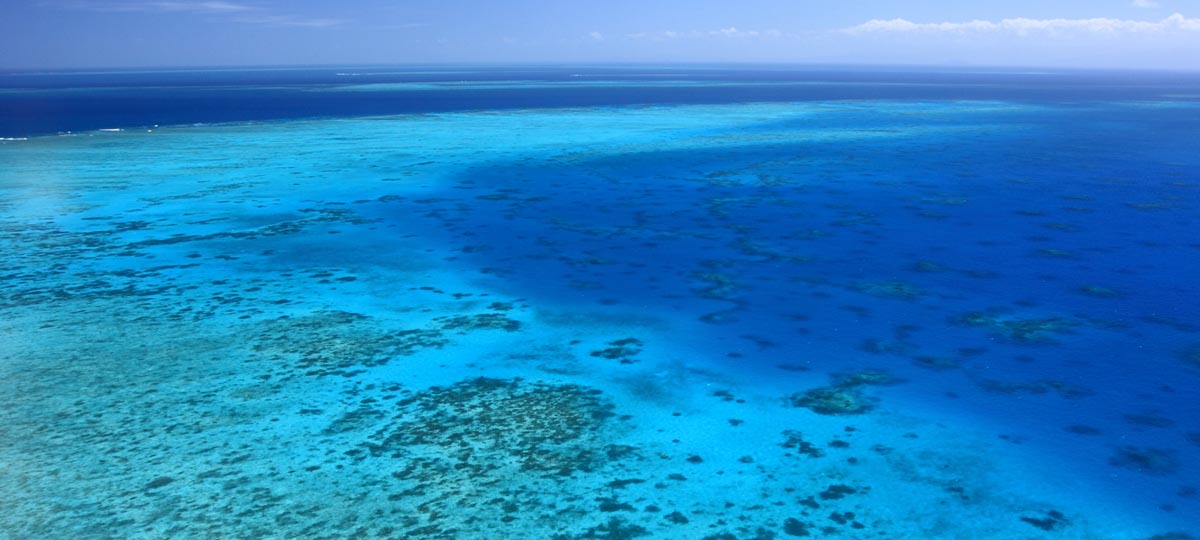The Great Barrier Reef The Great Barrier Reef