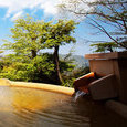 Experience the traditional stay at Hakone's Ryokan - Gora Hanaougi