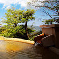 Experience the traditional stay at Hakone's Ryokan - Gora Hanaougi Experience the traditional stay at Hakone's Ryokan - Gora Hanaougi