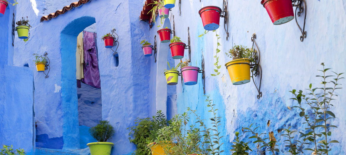 Blue & Brown Morocco