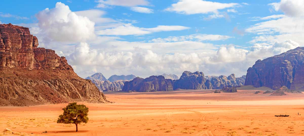 Half Day Wadi Rum's Desert Scenery