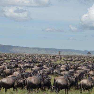 Serengeti National Park