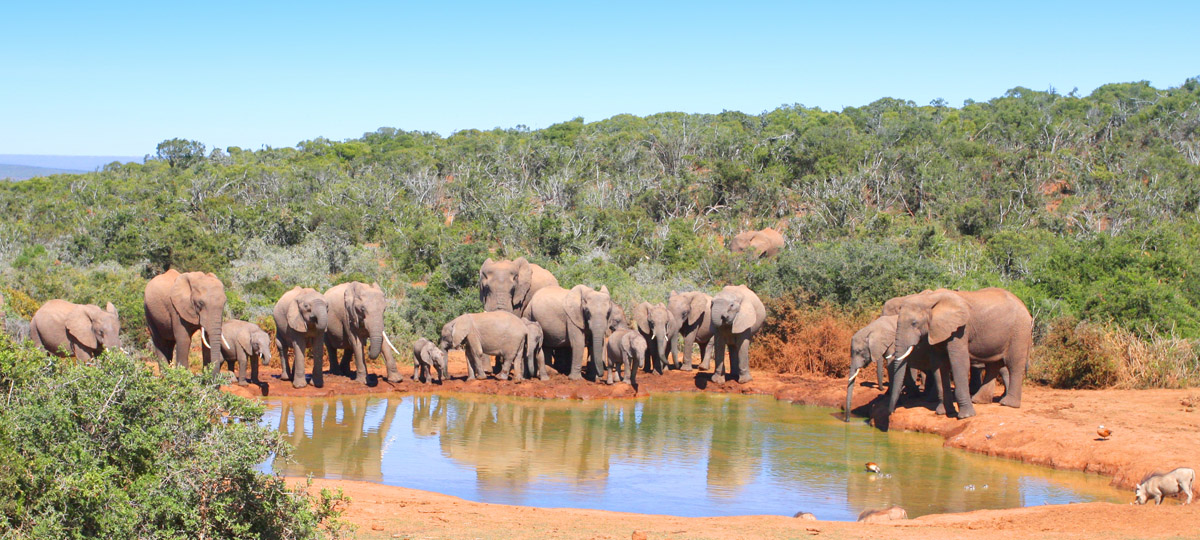 Tarangire National Park