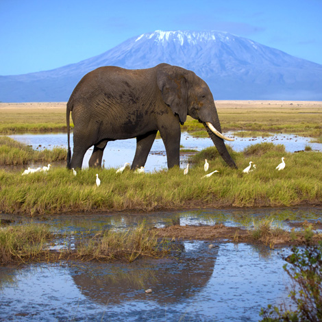 Mount Kilimanjaro