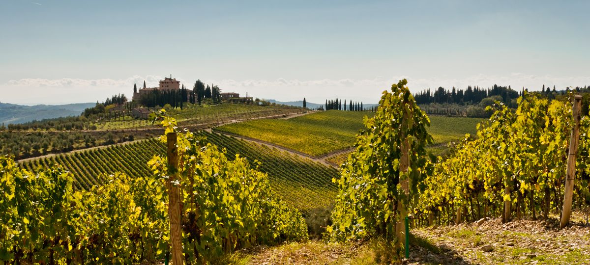 3 days in Chianti
