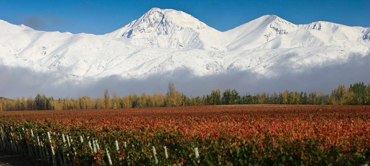 The land of Wine, Nature and Arts