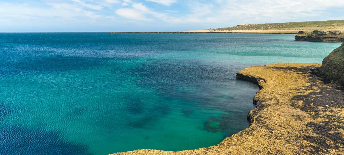 The Valdes Peninsula The Valdes Peninsula