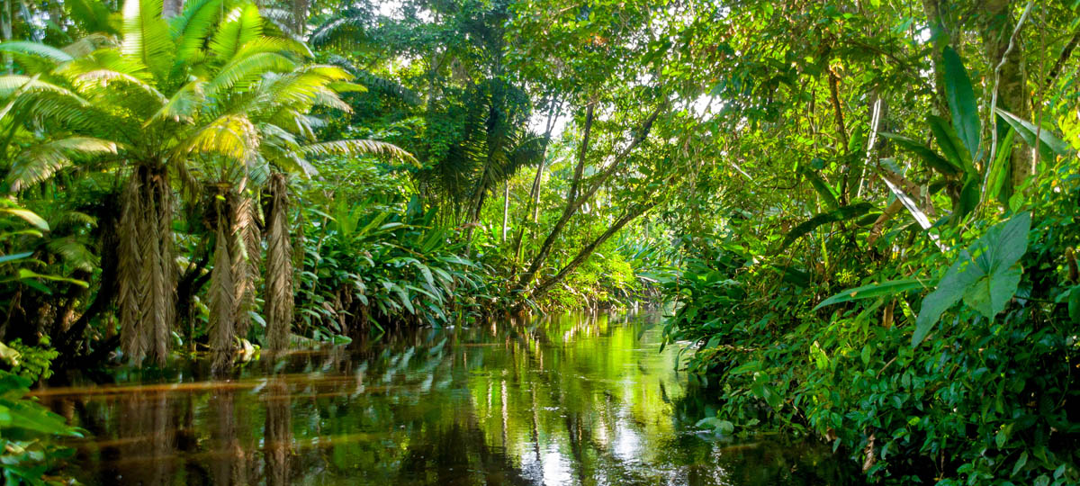 Iquitos and Machu Picchu: Wonders of Peru