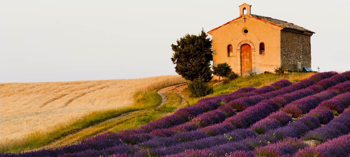 A Taste of Provence