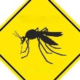 Yellow Fever Vaccination Requirement Yellow Fever Vaccination Requirement