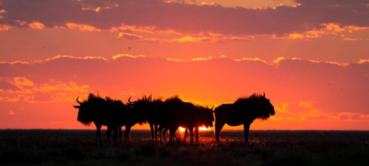 Off the Beaten Track Zambia