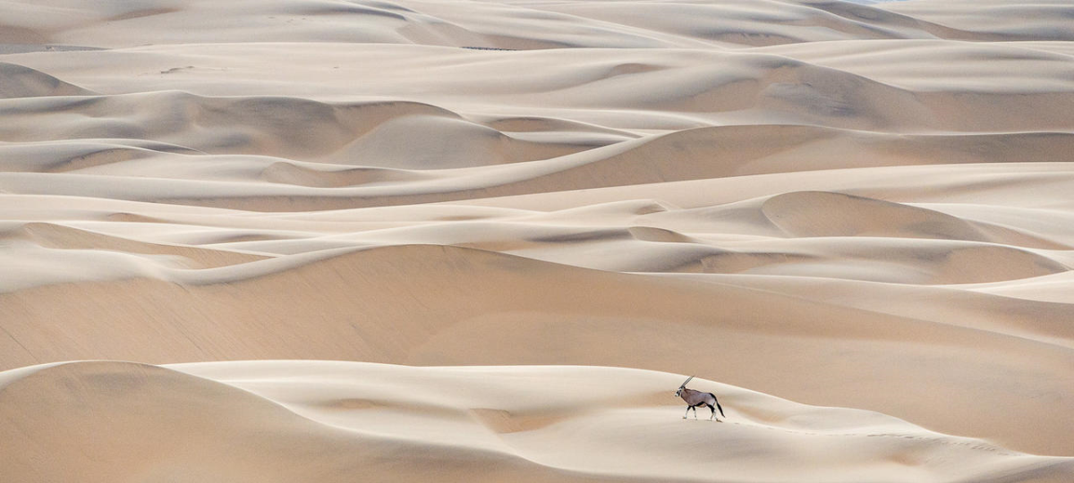 Namibia’s road less travelled 