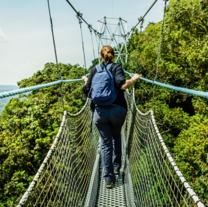 Nyungwe National Park