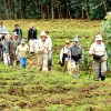 Rwanda Gorilla Tracking Guidelines