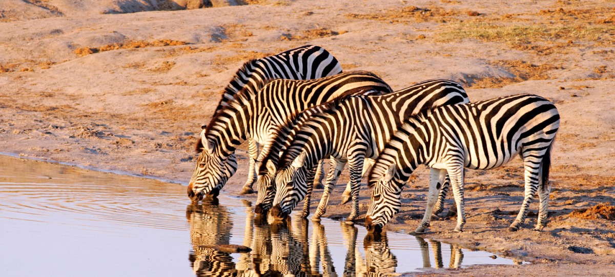 Hwange National Park Hwange National Park