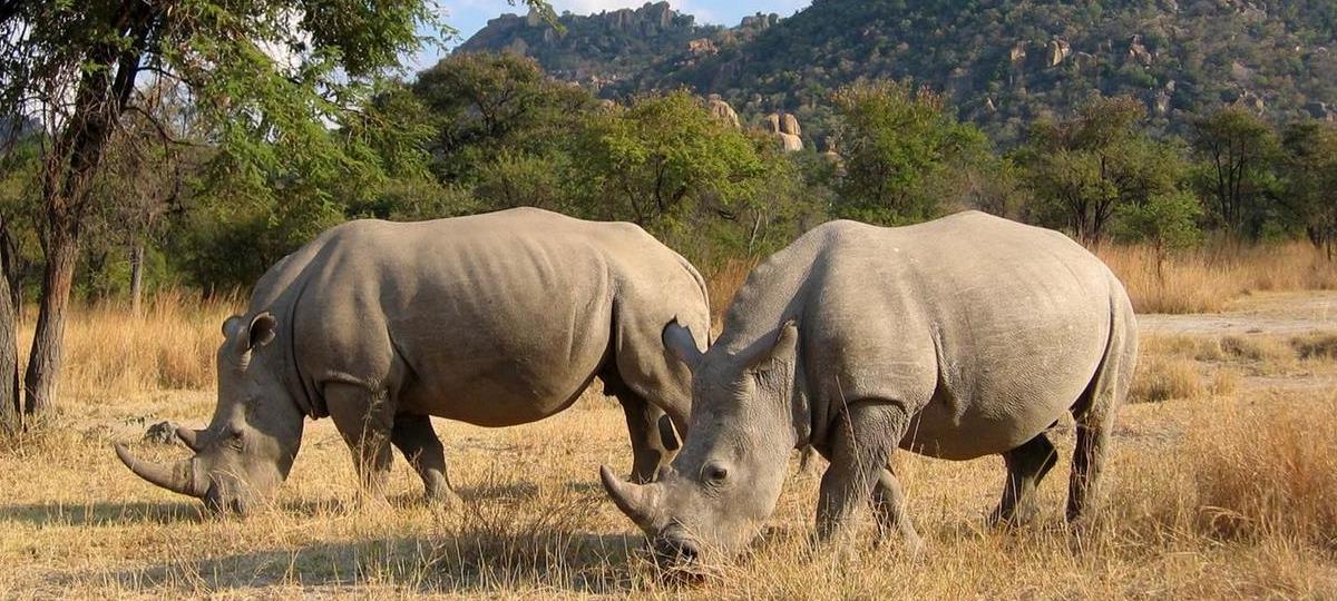 Matobo Hills National Park