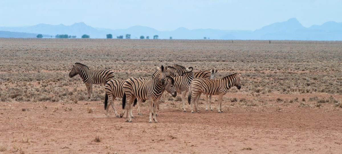 Highlights of Namibia