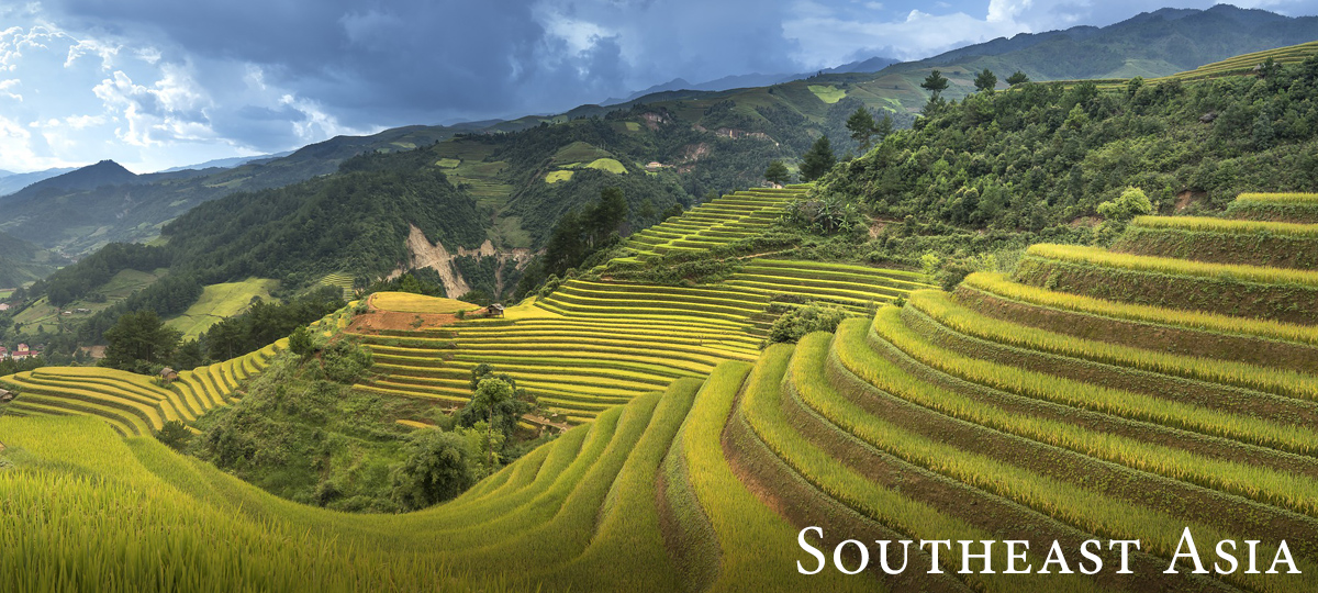 Southeast Asia Newsletter July 2020