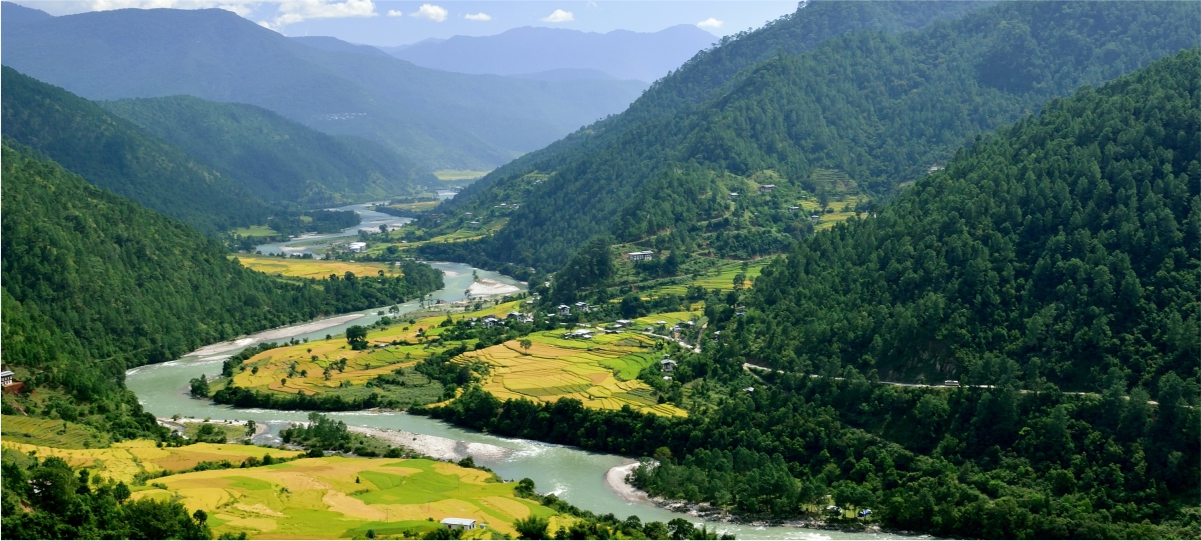 Punakha