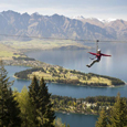 Ziplining Tour in an Ancient New Zealand Forest Ziplining Tour in an Ancient New Zealand Forest