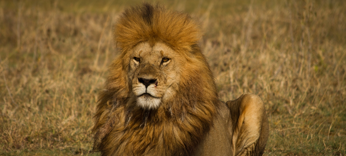 Best of East Africa