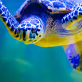 Galapagos National Park Revises Entrance Fee Galapagos National Park Revises Entrance Fee