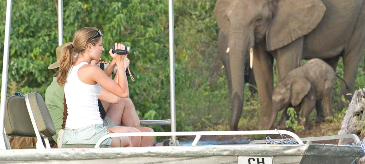 Day Tour - Chobe Day Trip