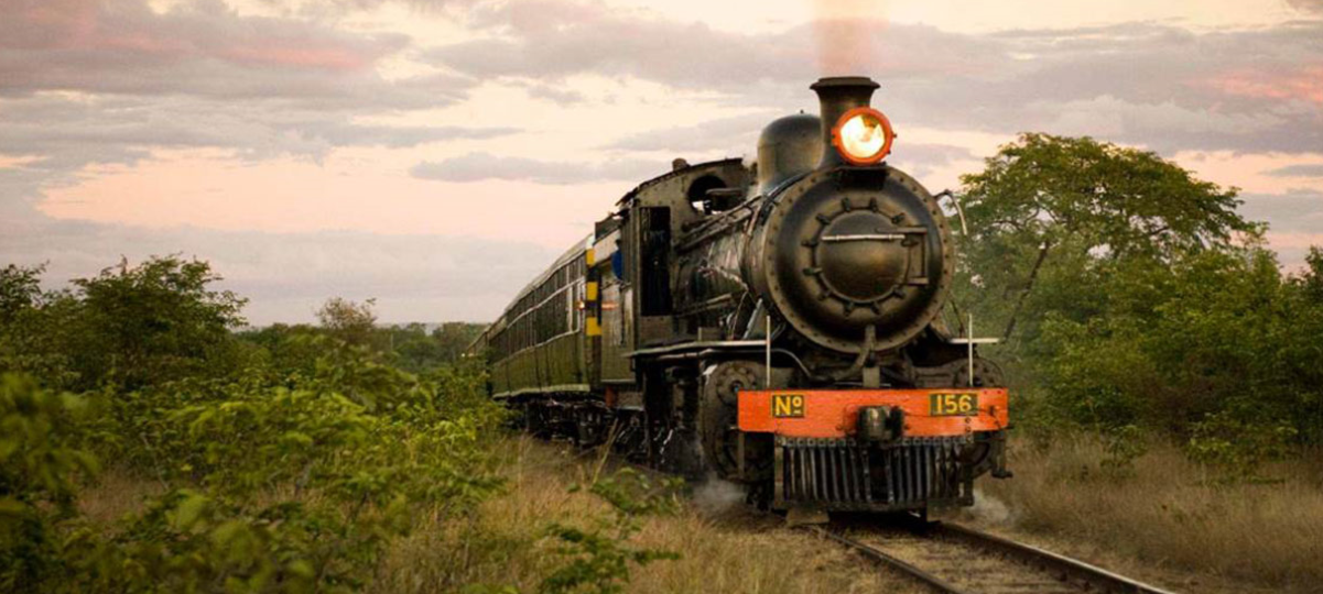 Day Tour - Royal Express Steam Train