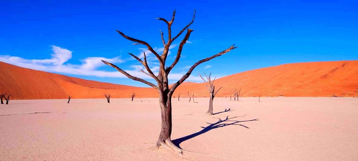 Day Tour - Sossusvlei Sand Dune Excursion