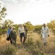 INSIDER ACCESS: Cultural Walks and Scenic Sundowners
