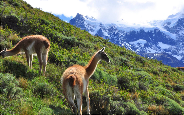 Book Early, Save up to 20% at The Singular Patagonia