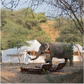 Dera Amer – Glamping in the wilderness Dera Amer – Glamping in the wilderness
